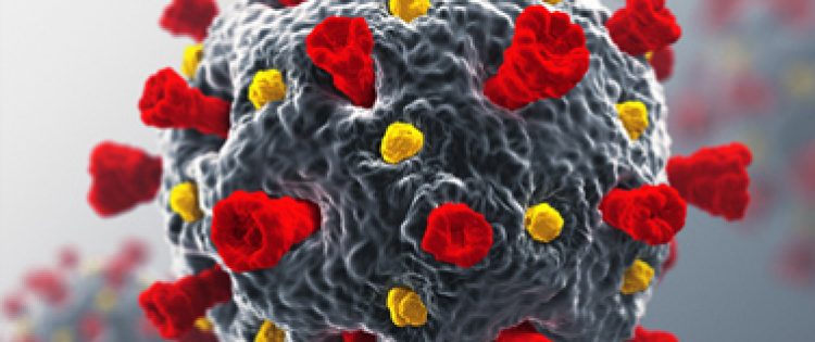 Soluzioni rapide per la diagnosi di COVID