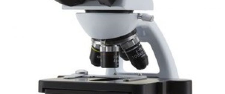 MICROSCOPIO B-293 PLI