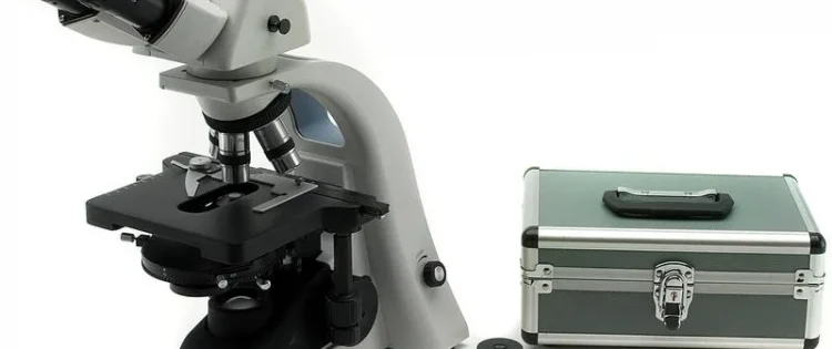 MICROSCOPIO B-353 PHI